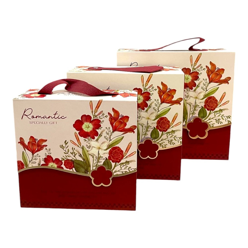 Set 3 cutii stil gentuță pentru cadouri cu mâner - model 2 roșu 1 - craftup.ro