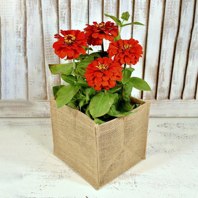 Cutie pătrată din iută 15x15x15cm - CraftUp