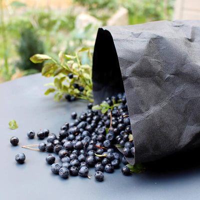 Pungă hârtie pliabilă și rezistentă la apă - negru - CraftUp