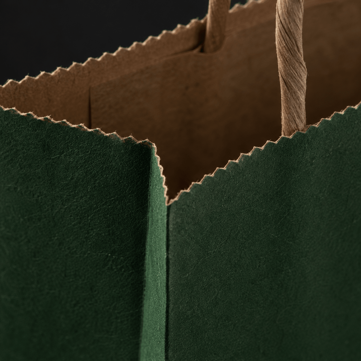 Sacoșe hârtie cu mâner răsucit - verde închis (set 12 buc) - CraftUp