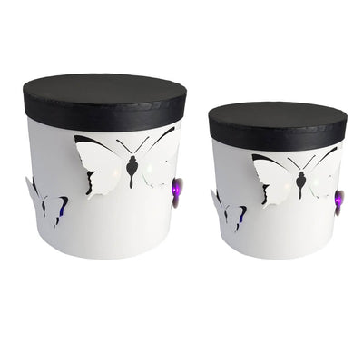 Set 2 cutii rotunde cu fluturi și lumini - alb - CraftUp
