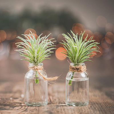 Sticluță transparentă reutilizabilă cu dop de plută - CraftUp